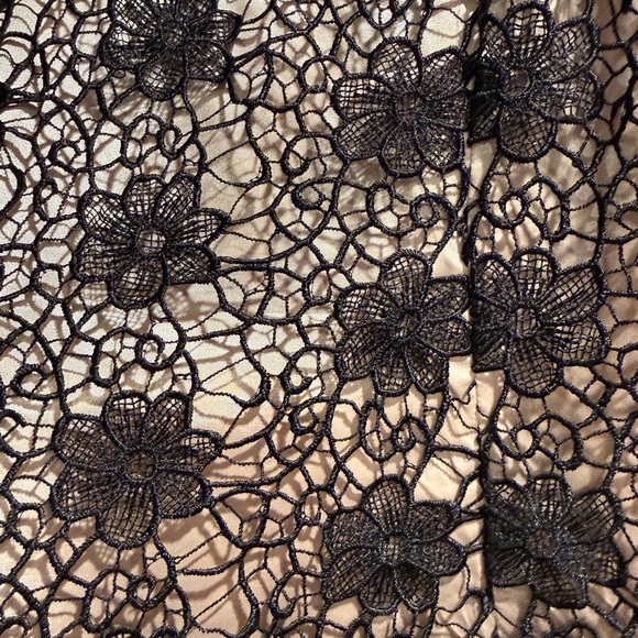 Bettie Page by Tatyana Elegant Lace Overlay Dress in Black and Beige - Picture 4 of 8